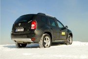 Dacia Duster 29 180x120