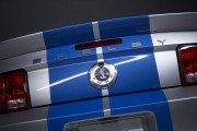 Ford Shelby 2008 9 180x120