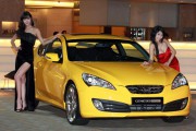 Hyundai Genesis Coupe 8 180x120