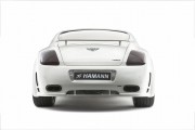 Hamann Imperator 7 180x120