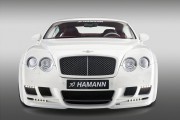 Hamann Imperator 8 180x120