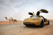 SLS AMG Desert Gold 10 180x120