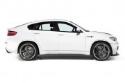 AC Schnitzer X6 16 180x120