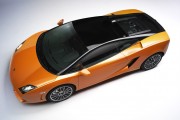 Gallardo LP 560 4 Bicolore7 180x120