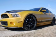 MustangShelby GoldenSnake8 180x120