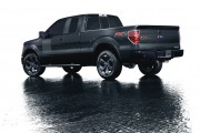 Ford F150 FX2 3 180x120