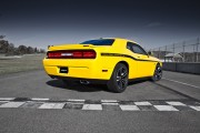 Challenger Yellow Jacket 5 180x120