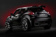 Nissan Juke R 11 180x120