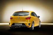 Seat Ibiza Cupra 5 180x120