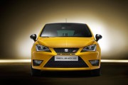 Seat Ibiza Cupra 8 180x120