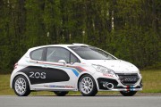 Peugeot 208 R2 10 180x120