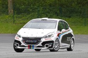 Peugeot 208 R2 7 180x120