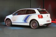 VW Polo R WRC 9 180x120