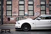 Ford Mustang RTR 5 180x120