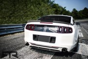 Ford Mustang RTR 8 180x120