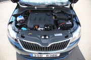 Skoda  Rapid 1 180x120