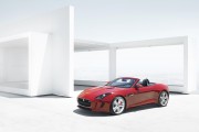 Jaguar F Type 12 180x120