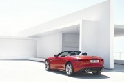 Jaguar F Type 13 180x120