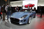 Jaguar F Type 24 180x120