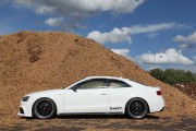 Audi S5 Senner 8 180x120