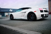 Gallardo  Mastermind 2 180x120