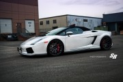 Gallardo  Mastermind 7 180x120