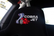 Mustang Cobra Jet 3 180x120