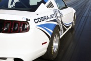 Mustang Cobra Jet 5 180x120