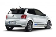 VW Polo R WRC 11 180x120