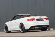 Senner Audi S5 1 180x120