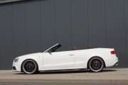 Senner Audi S5 4 180x120