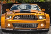 Shelby GT500 Super Snake 10 1 180x120