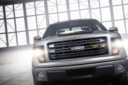 Ford F 150 Tremor 10 180x120