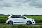 VW Polo R WRC 11 180x120