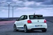 VW Polo R WRC 13 180x120