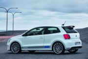 VW Polo R WRC 19 180x120