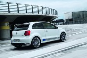 VW Polo R WRC 21 180x120