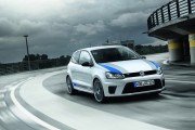 VW Polo R WRC 22 180x120