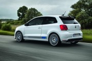 VW Polo R WRC 27 180x120