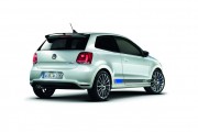 VW Polo R WRC 5 180x120