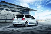 VW Polo R WRC 7 180x120