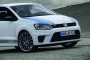 VW Polo R WRC 8 180x120