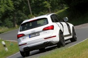 Audi SQ5 11 180x120