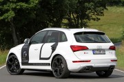 Audi SQ5 6 180x120