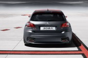 Peugeot 308R Concept 5 180x120