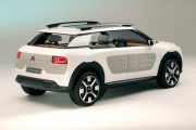 Citroen Cactus 17 180x120