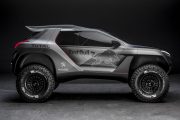 Peugeot 2008 DKR 1 180x120