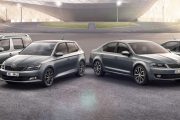 Skoda 11 180x120