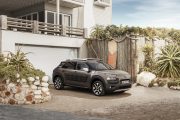 C4 Cactus RipCurl 11 180x120