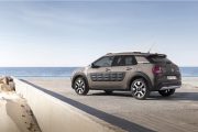 C4 Cactus RipCurl 13 180x120